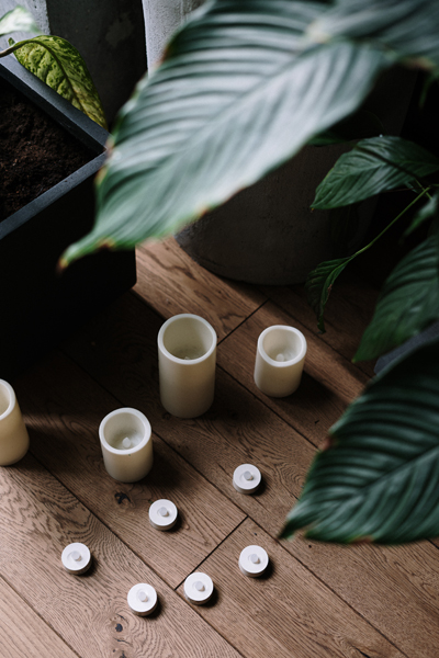 Candles on floor and plants
